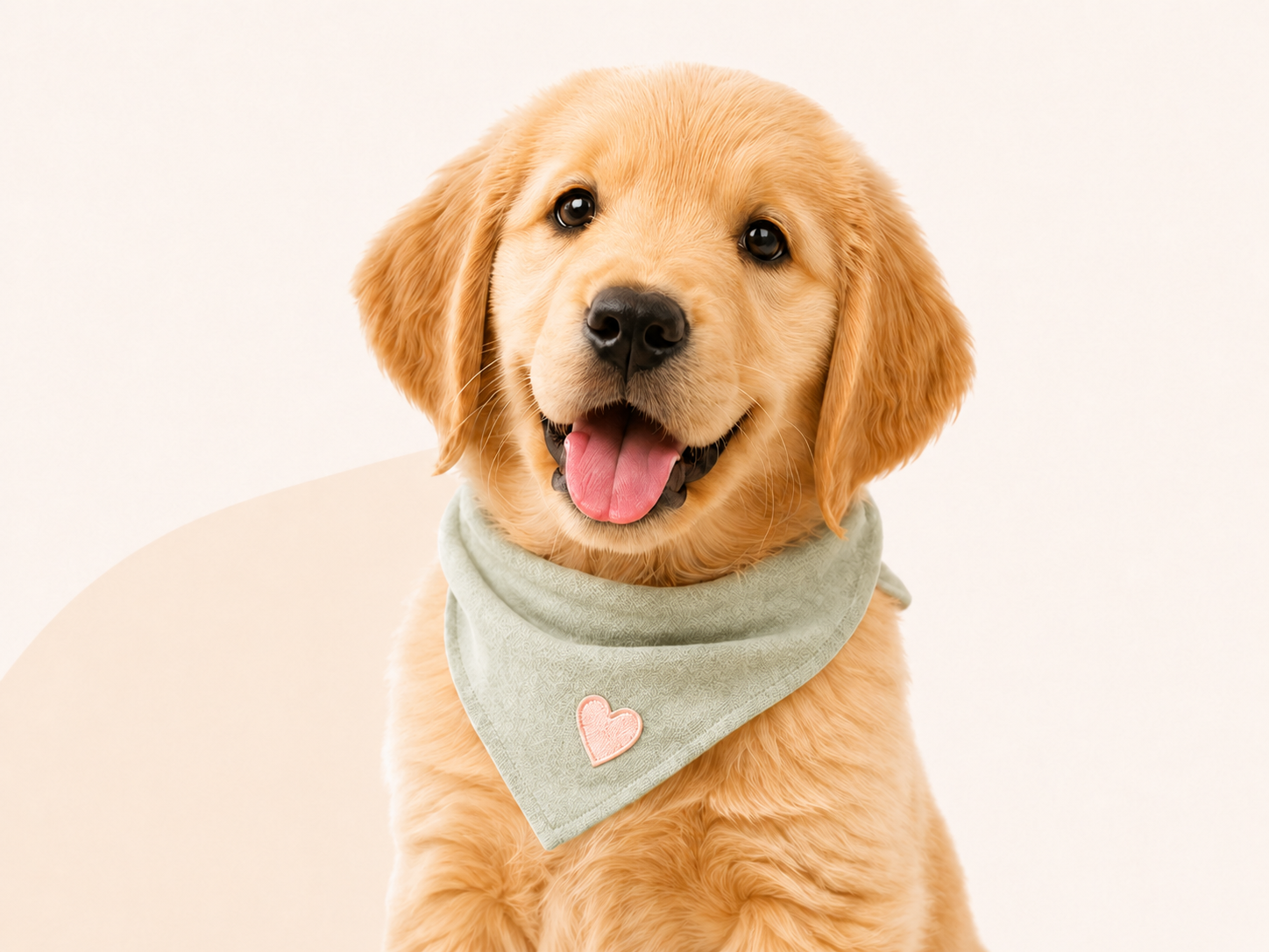Golden Retriever feliz
